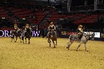 Quadrille - 00785